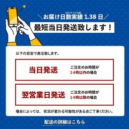 Pokemon Center 原創 變身！百變怪 毛公仔 伊布家族 比卡超 耿鬼 六尾 卡比獸 波克比 背背龍 啟暴龍 鯉魚王 電羊 夢夢 路卡利歐 圖 9
