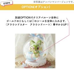 Pokemon 毛公仔氣球禮物（可選角色） 圖 11