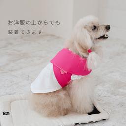 Nacol Dog 三點式寵物冷卻頸帶 wkc 圖 8