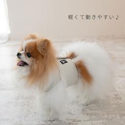 Nacol Dog 三點式寵物冷卻頸帶 wkc 圖 6