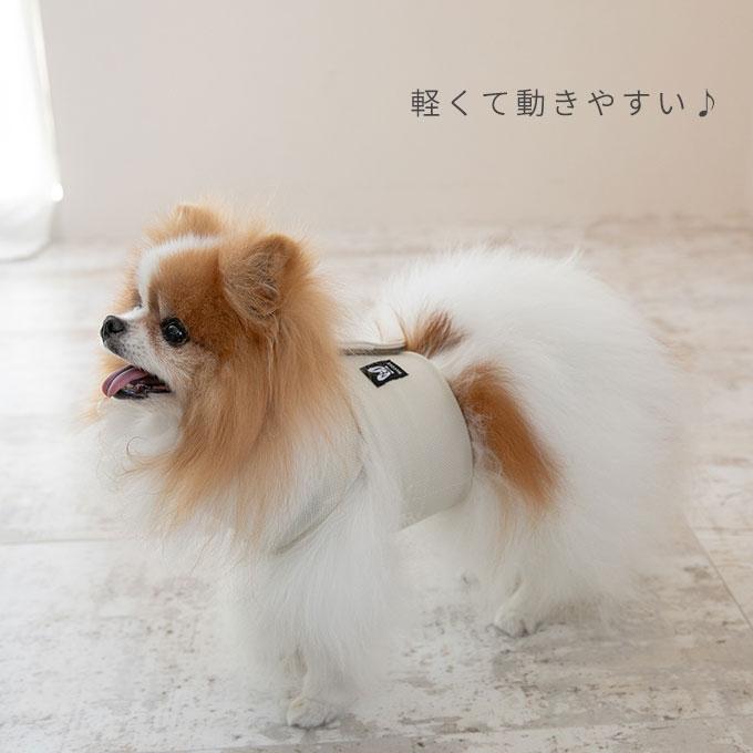 Nacol Dog 三點式寵物冷卻頸帶 wkc 圖 6