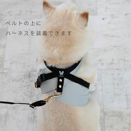 Nacol Dog 三點式寵物冷卻頸帶 wkc 圖 7