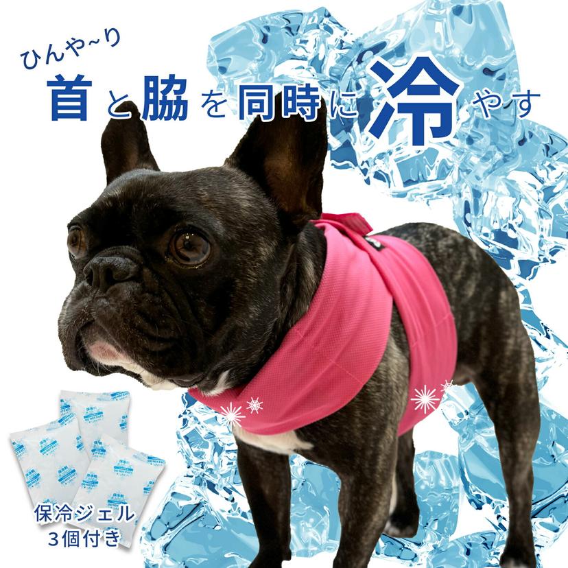 Nacol Dog 三點式寵物冷卻頸帶 wkc 圖 2