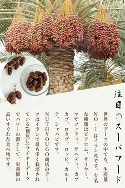 無核椰棗乾 1kg（無添加、無農藥） 圖 2