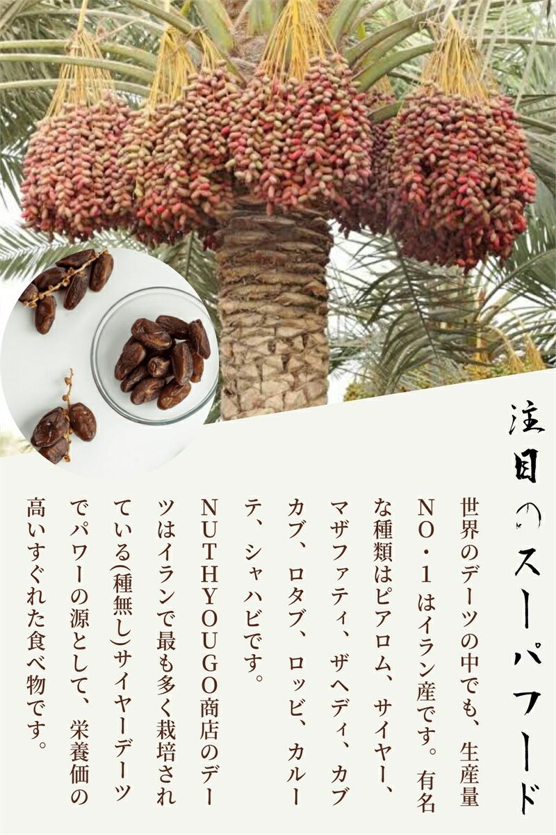 無核椰棗乾 1kg（無添加、無農藥） 圖 2