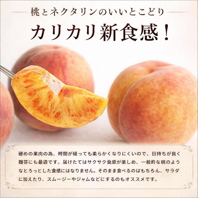 279"FOOD 信州產瑕疵瓦沙桃及油桃（家庭用） 圖 8