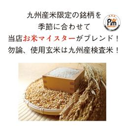 令和7年產九州產 無洗米（免洗米）10kg（5kg×2袋） 圖 2
