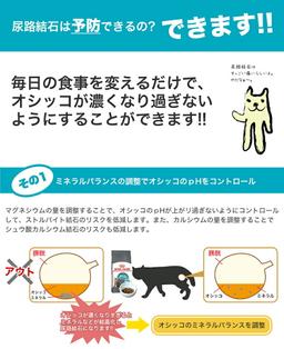 Royal Canin 皇家泌尿道護理成貓乾糧 2kg（附夾鏈袋） 圖 3
