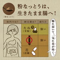 Hasuya 粗磨納豆粉 84g 圖 5