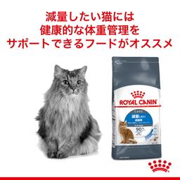 Royal Canin FCN Light Weight Care 體重控制成貓糧 3kg (12個月以上) [正品] 圖 4
