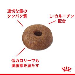 Royal Canin FCN Light Weight Care 體重控制成貓糧 3kg (12個月以上) [正品] 圖 2