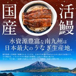 日本產特大無頭鰻魚蒲燒（約170g×3尾） 圖 5