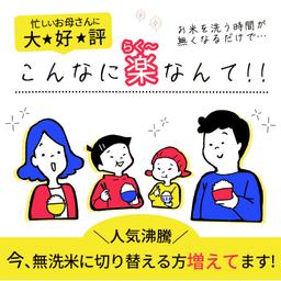 故鄉無洗米 日本免洗白米（可選容量及雜穀米套裝） 圖 6