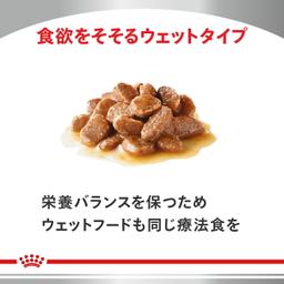Royal Canin 貓用消化系統護理配方（可溶性纖維）乾糧 4kg 圖 8