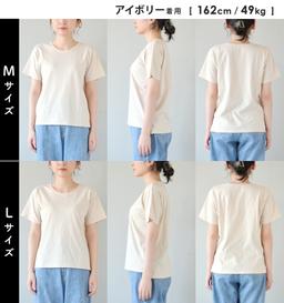 zootie 防汗漬 UV防護 純棉短袖圓領T恤（標準款） 圖 28