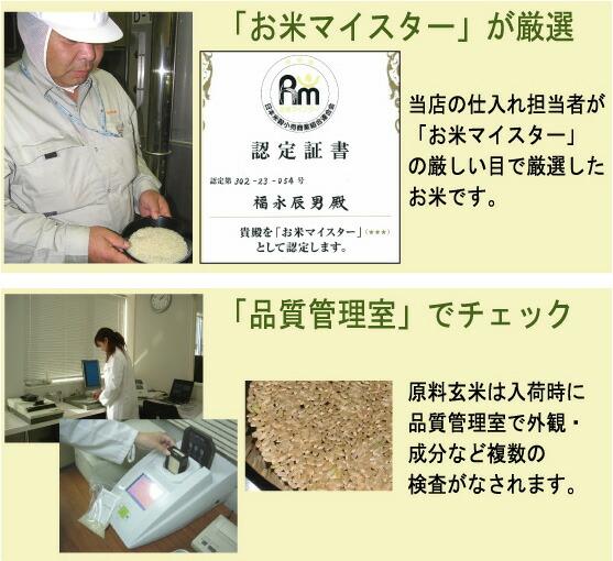 Harvest Season 無洗米 山形縣產秋田小町 10kg (5kg×2袋) 令和7年產 圖 7