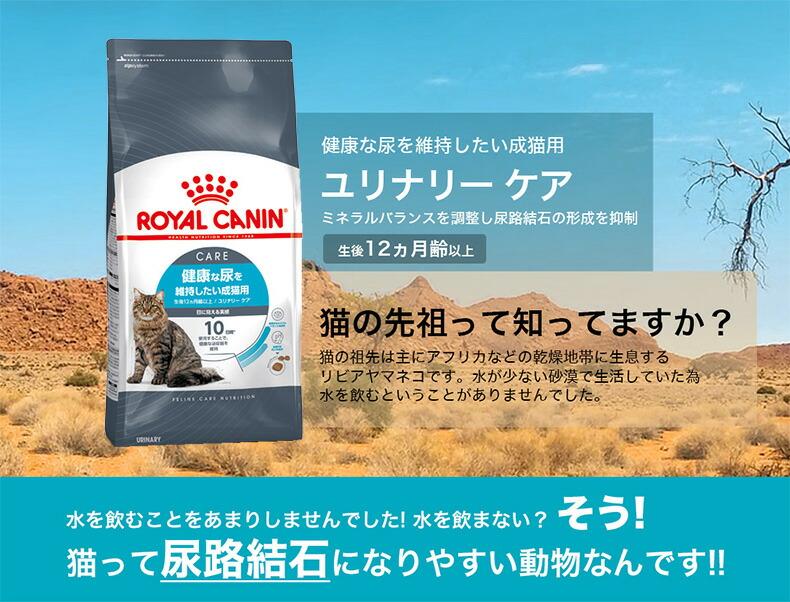 Royal Canin 皇家泌尿道護理成貓乾糧 2kg(附夾鏈袋) 圖 7