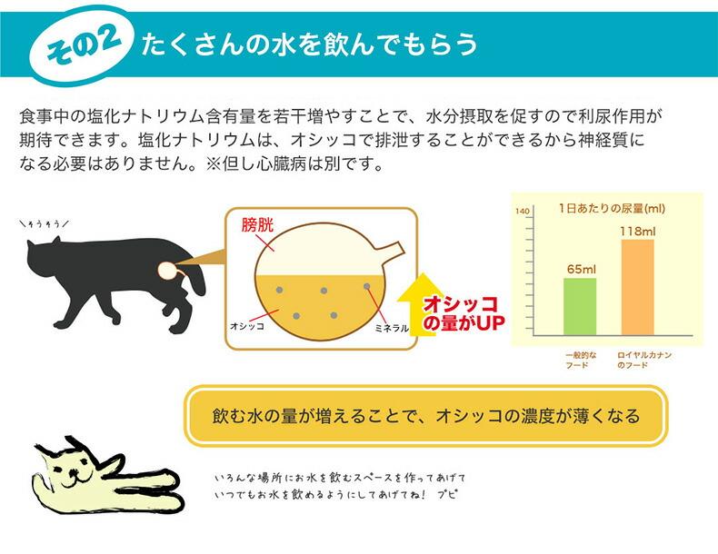 Royal Canin 皇家泌尿道護理成貓乾糧 2kg(附夾鏈袋) 圖 6