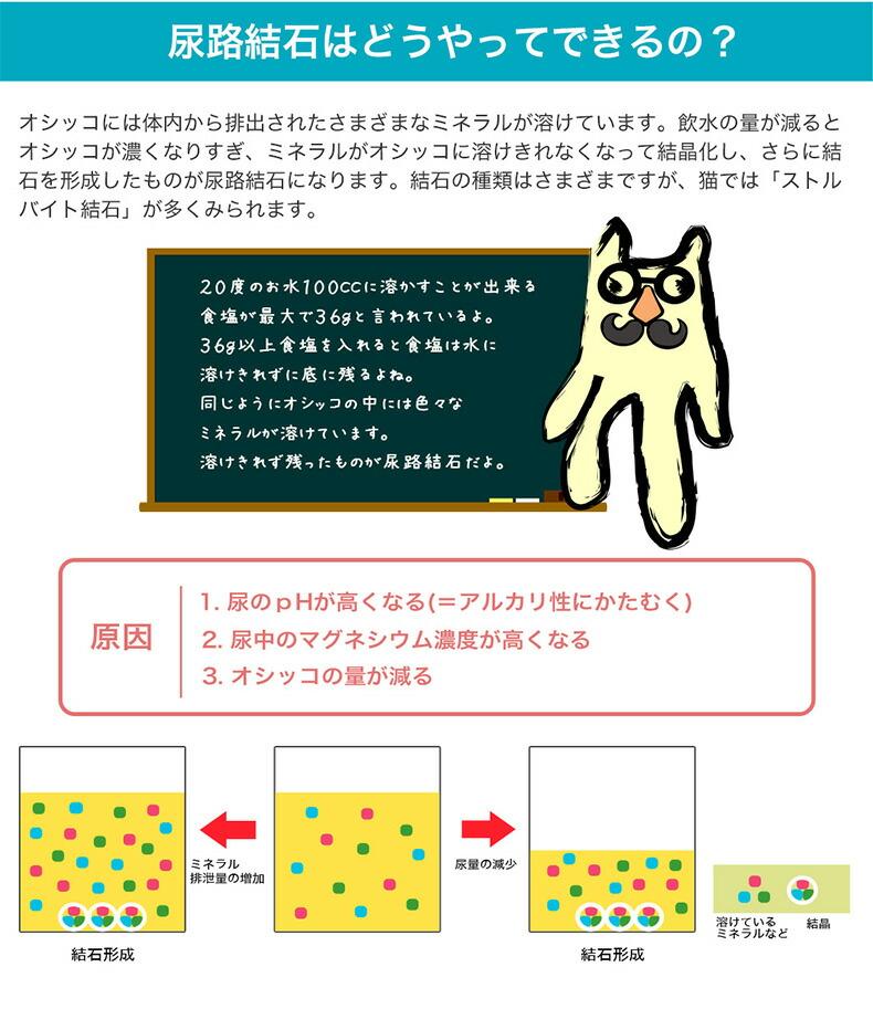 Royal Canin 皇家泌尿道護理成貓乾糧 2kg(附夾鏈袋) 圖 4