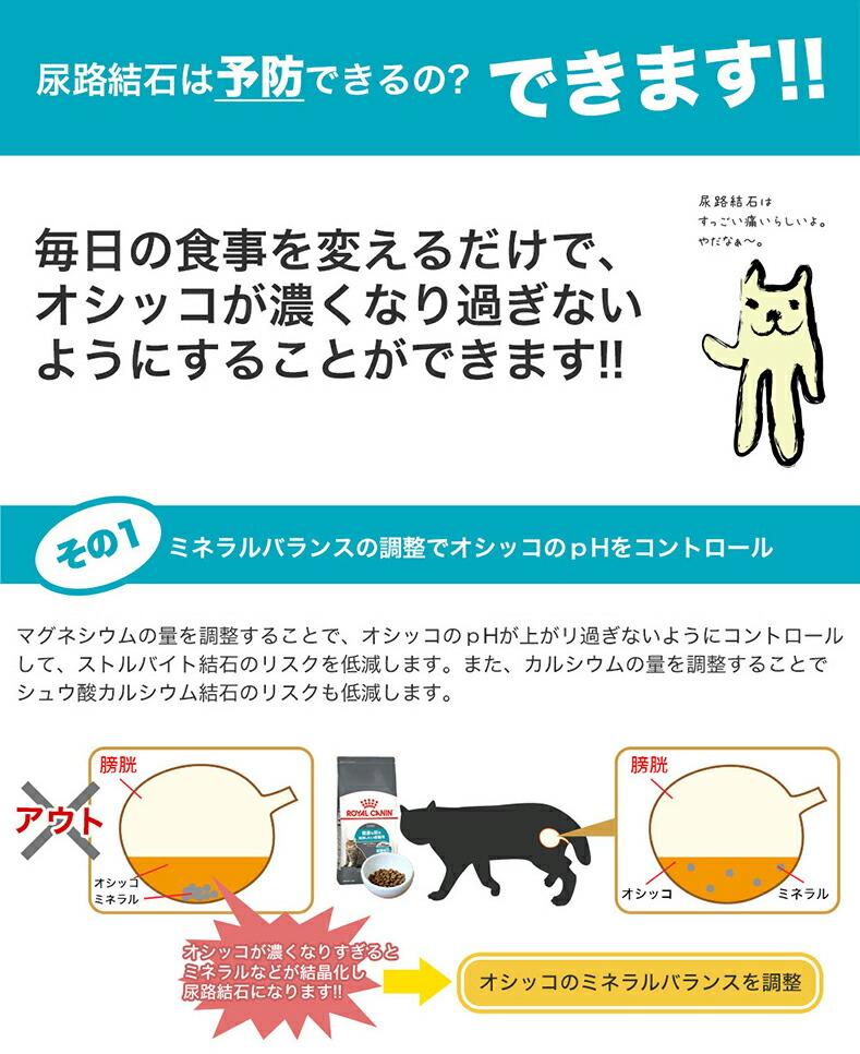 Royal Canin 皇家泌尿道護理成貓乾糧 2kg(附夾鏈袋) 圖 3