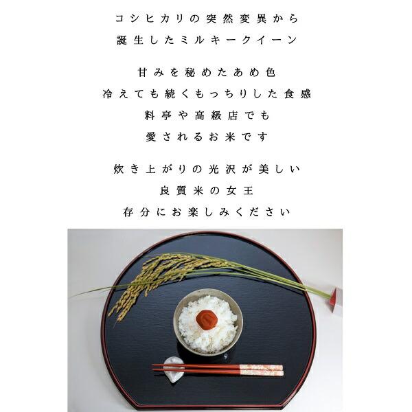 令和7年產福島縣產 Milky Queen 無洗米/玄米 圖 7