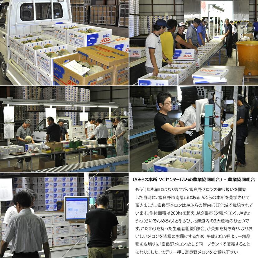 北海道富良野蜜瓜(JA共撰秀品,約1.6kg) 圖 1