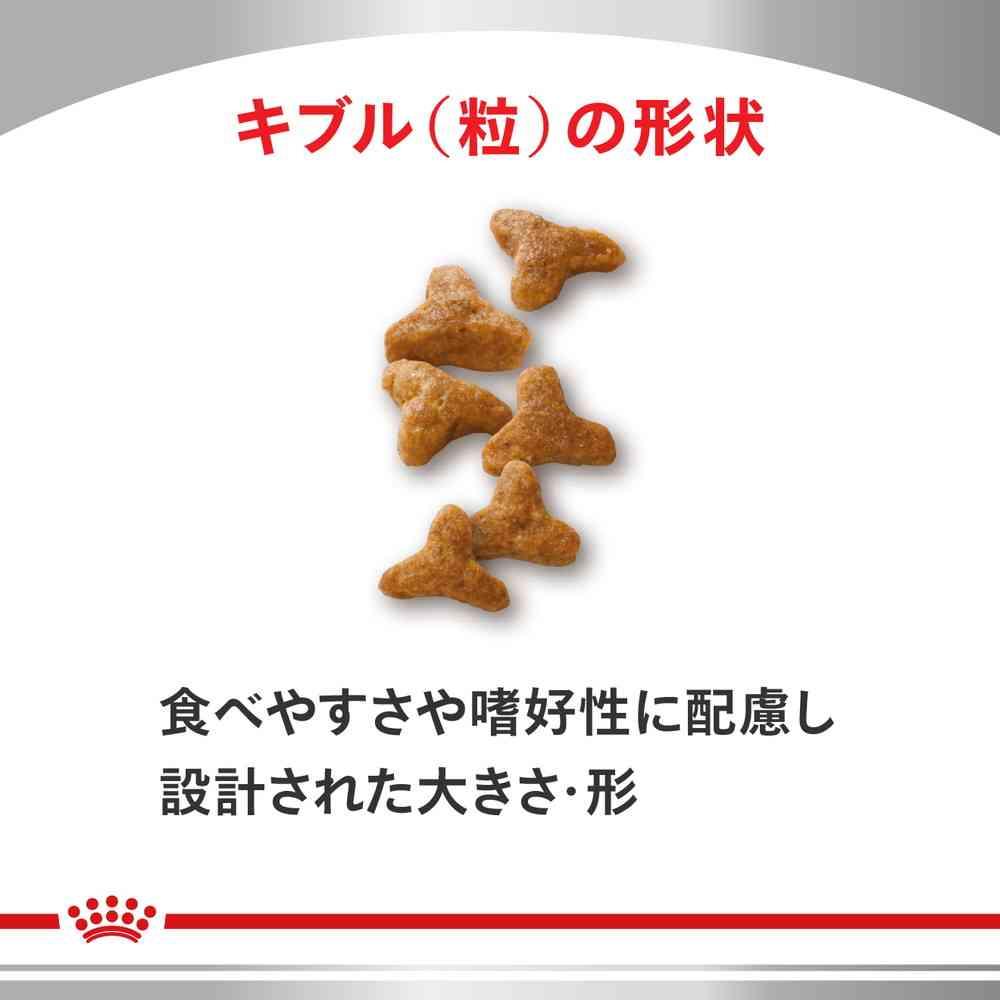 專為便秘貓隻設計