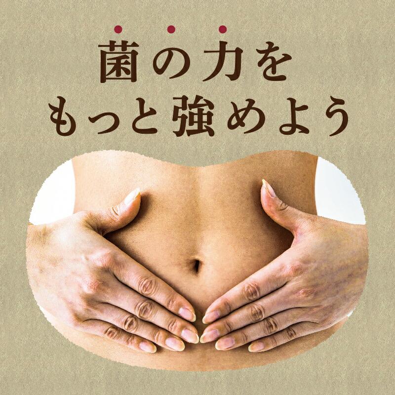 Hasuya 粗磨納豆粉 84g 圖 2