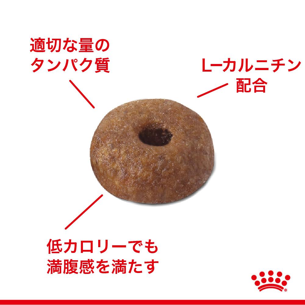 體重管理支持