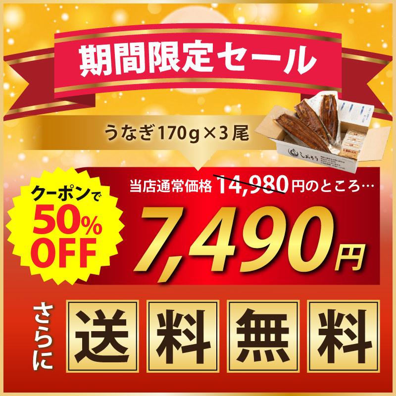 日本產特大無頭鰻魚蒲燒(約170g×3尾) 圖 2