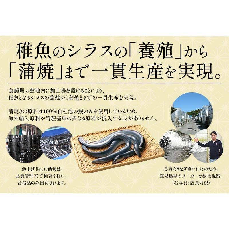 日本產特大無頭鰻魚蒲燒(約170g×3尾) 圖 6